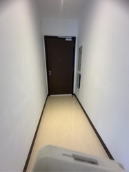 Sundance Vista (D15), Apartment #520183441